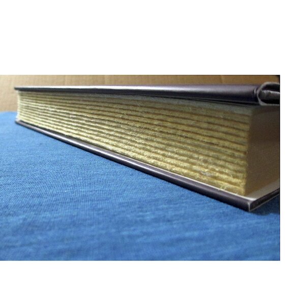 Book: Bowlaway by Elizabeth McCracken - Picture 6 of 7